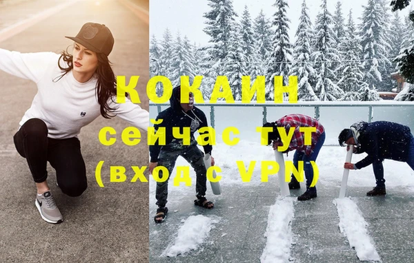 кокс Сосновый Бор